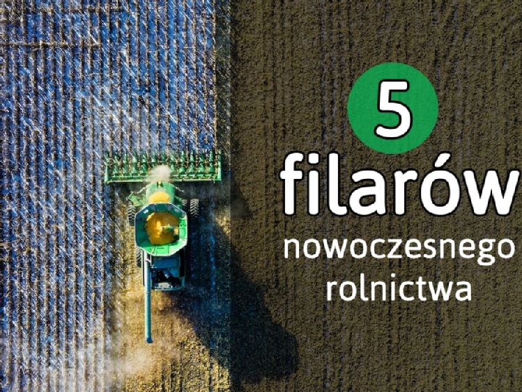 5 filarów nowoczesnego rolnictwa - jak zadbać o zrównoważony rozwój?